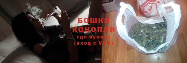 дмт Новозыбков